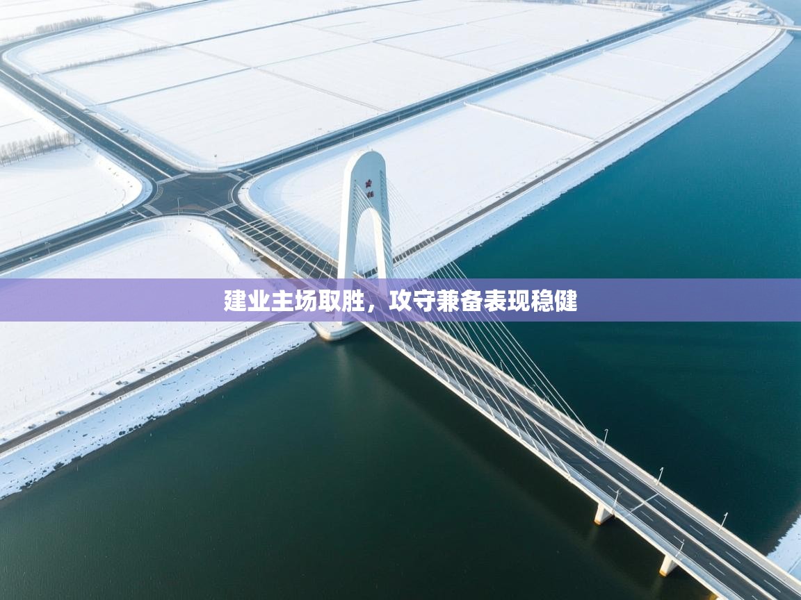 建业主场取胜,攻守兼备表现稳健 第2张