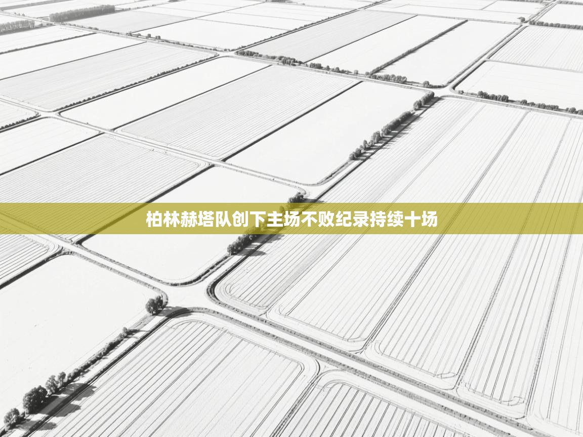 柏林赫塔队创下主场不败纪录持续十场  第1张