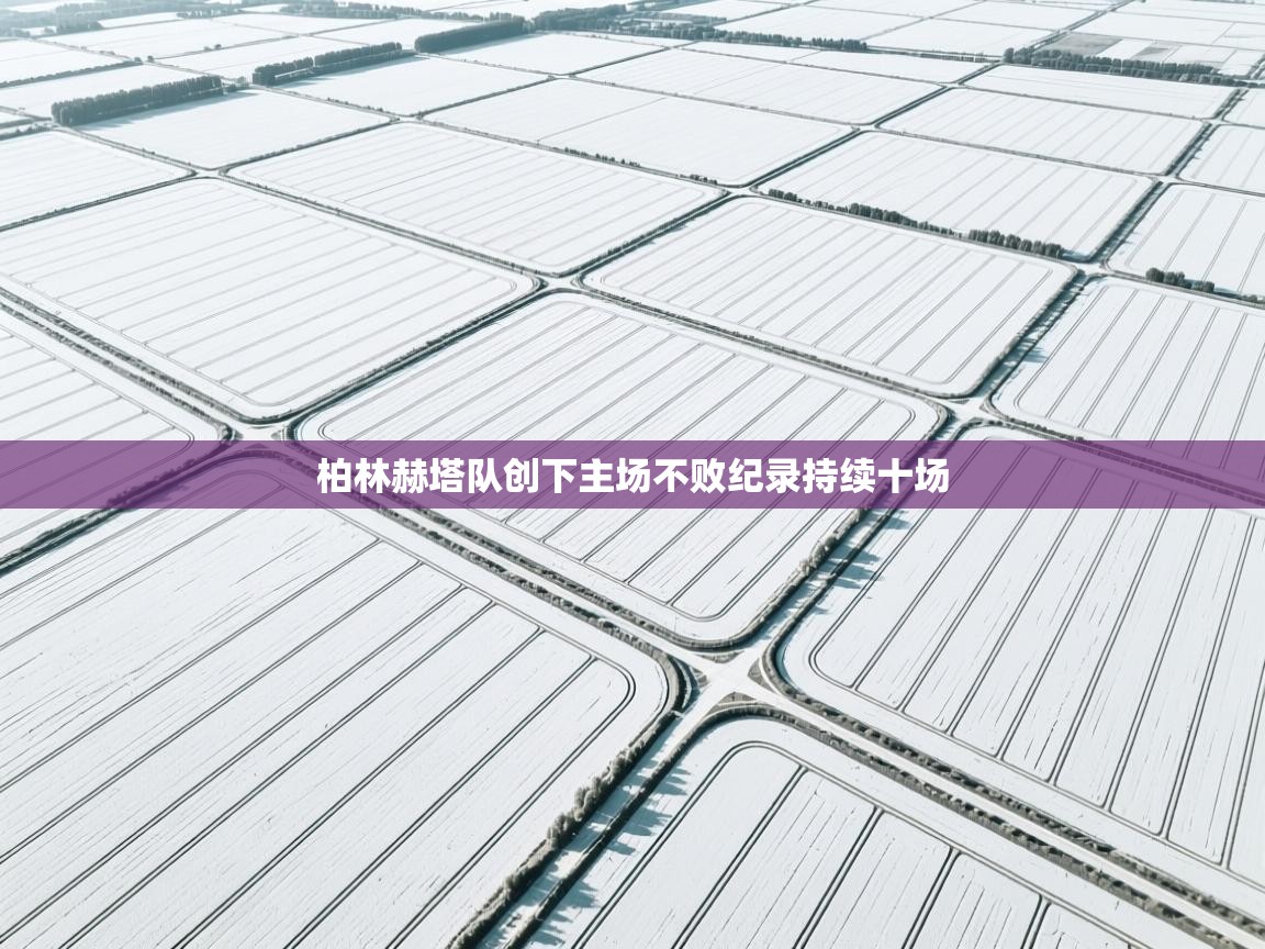 柏林赫塔队创下主场不败纪录持续十场  第2张